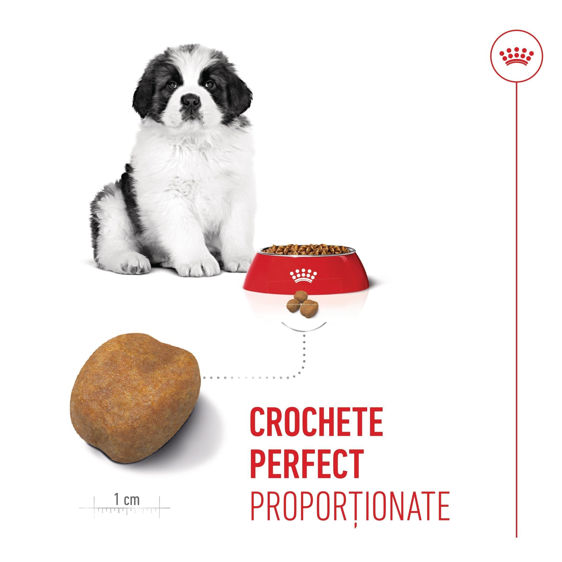 Royal Canin Giant Puppy hrana uscata caine junior etapa 1 de crestere