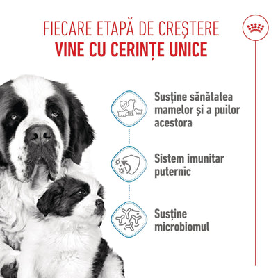 Royal Canin Giant Starter Mother & Babydog, mama si puiul, hrana uscata caine