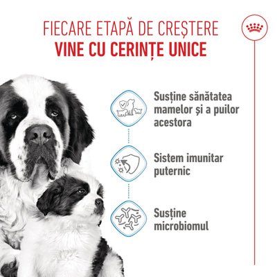 Royal Canin Giant Starter Mother & Babydog, mama si puiul, hrana uscata caine