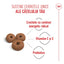 Royal Canin Giant Starter Mother & Babydog, mama si puiul, hrana uscata caine