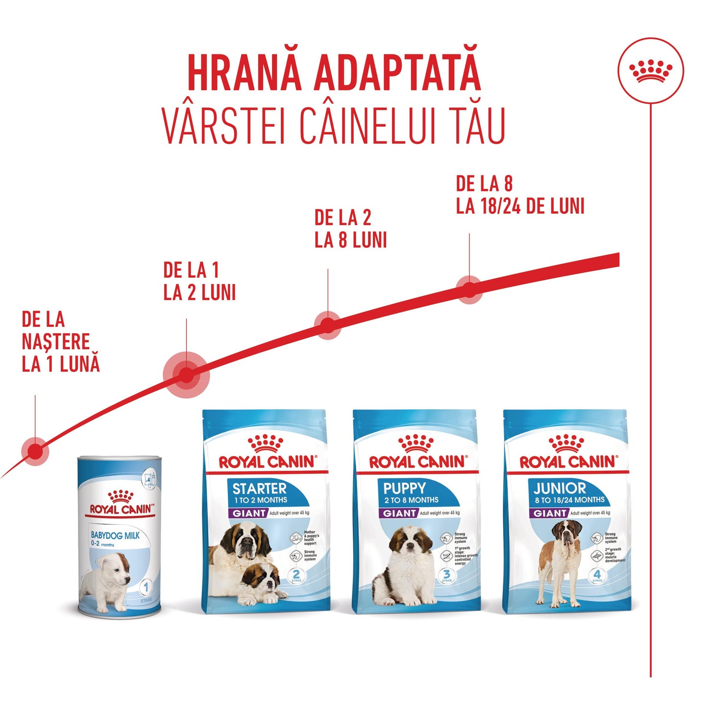 Royal Canin Giant Starter Mother & Babydog, mama si puiul, hrana uscata caine