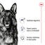 Royal Canin Maxi Adult hrana uscata caine