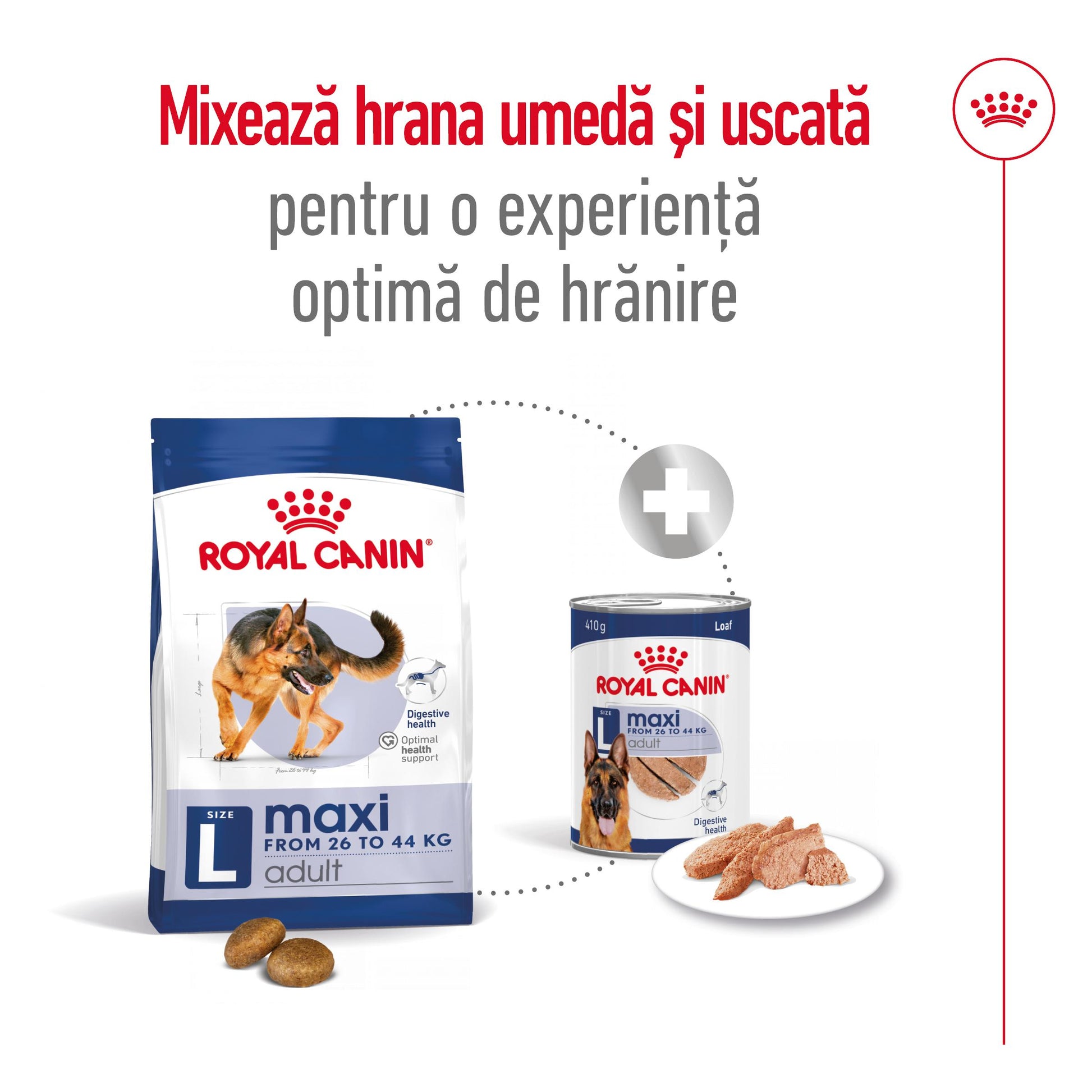 Royal Canin Maxi Adult hrana uscata caine