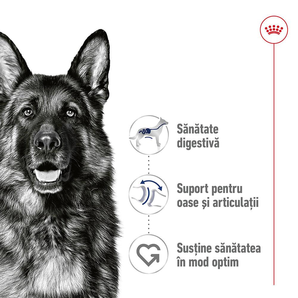 Royal Canin Maxi Adult hrana umeda caine (in sos), 140 g