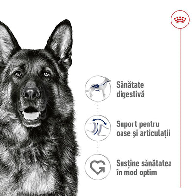 Royal Canin Maxi Adult hrana umeda caine (in sos), 140 g