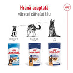 Royal Canin Maxi Adult hrana umeda caine (in sos), 140 g