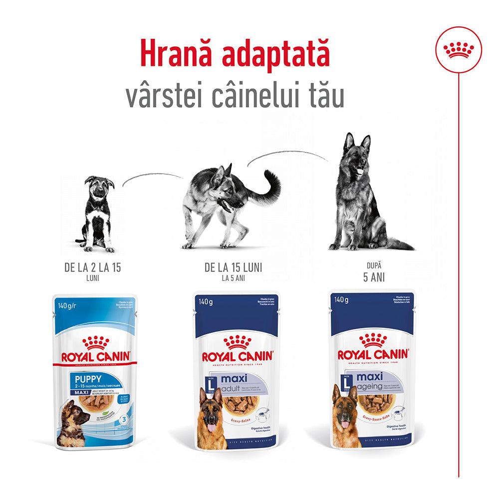 Royal Canin Maxi Adult hrana umeda caine (in sos), 140 g
