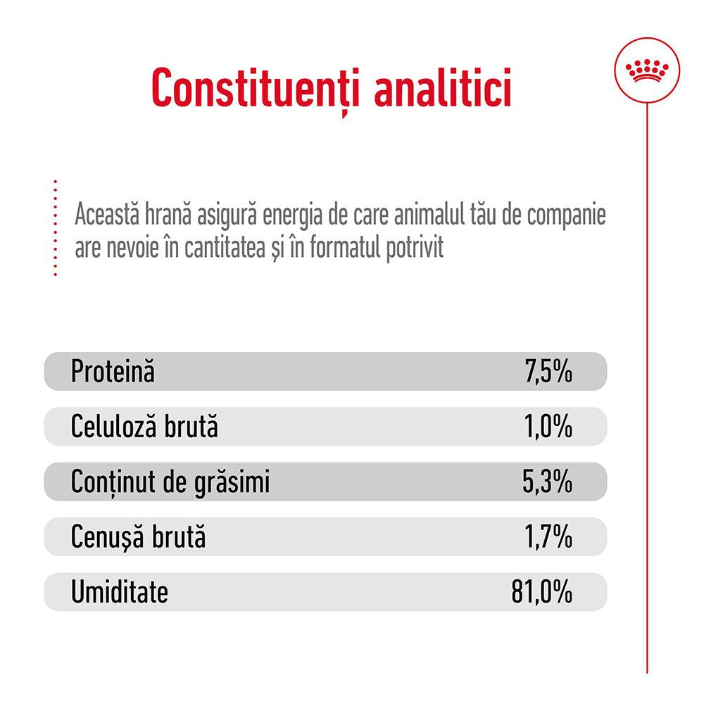 Royal Canin Maxi Adult hrana umeda caine (in sos), 140 g
