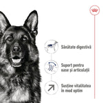 Royal Canin Maxi Adult 5+ hrana uscata caine