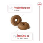 Royal Canin Maxi Ageing 8+ hrana uscata caine senior, 15 kg