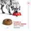 Royal Canin Maxi Ageing 8+ hrana uscata caine senior, 15 kg