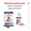 Royal Canin Maxi Ageing 8+ hrana uscata caine senior, 15 kg