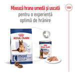 Royal Canin Maxi Ageing 8+ hrana uscata caine senior, 15 kg