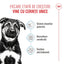 Royal Canin Maxi Puppy hrana uscata caine junior