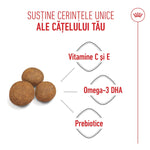 Three brown dog kibble pieces with text highlighting vitamins C and E, Omega-3 DHA, and prebiotics for puppies
