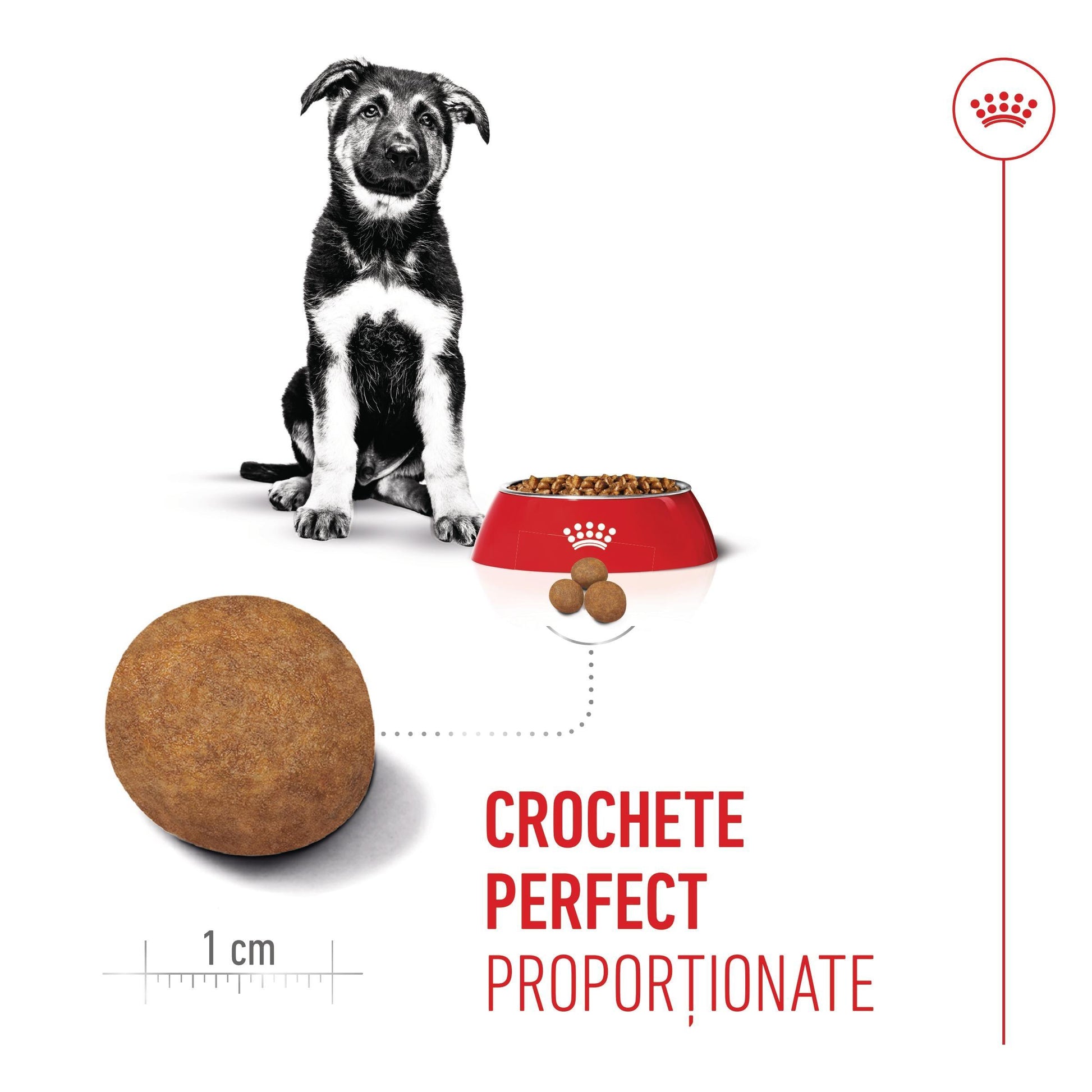 Royal Canin Maxi Puppy hrana uscata caine junior