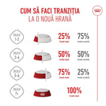 Romanian pet food transition guide showing gradual increase from 25% to 100% new food in 7+ days