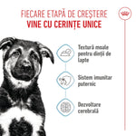 Royal Canin Maxi Puppy hrana umeda caine junior (in sos), 140 g