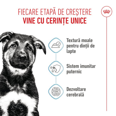 Royal Canin Maxi Puppy hrana umeda caine junior (in sos), 140 g