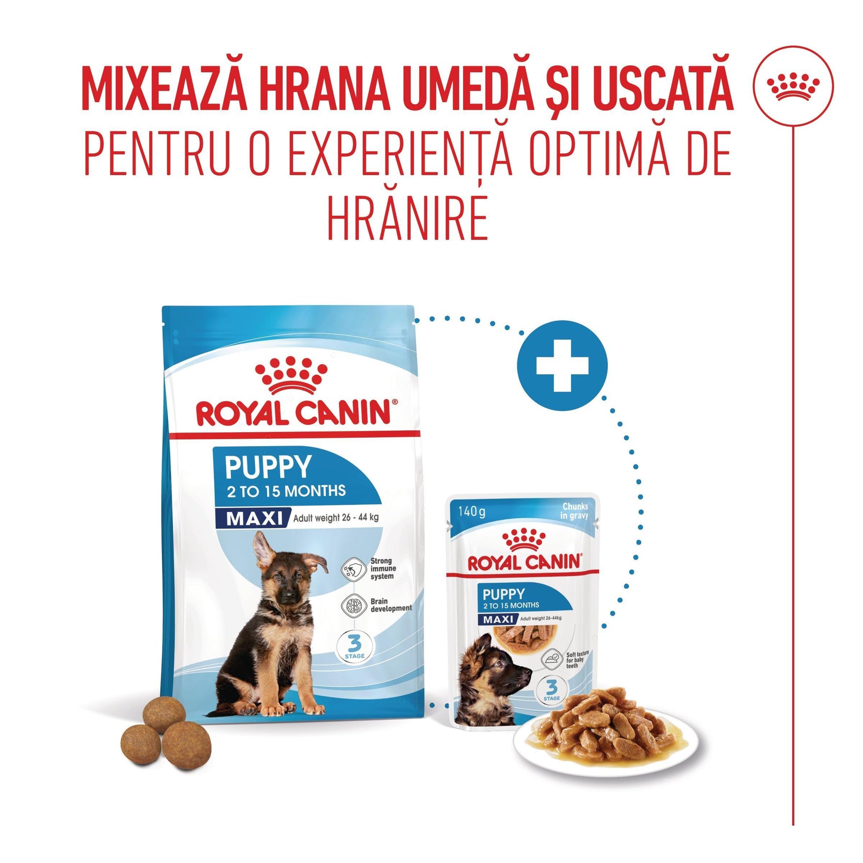 Royal Canin Maxi Puppy hrana umeda caine junior (in sos), 140 g