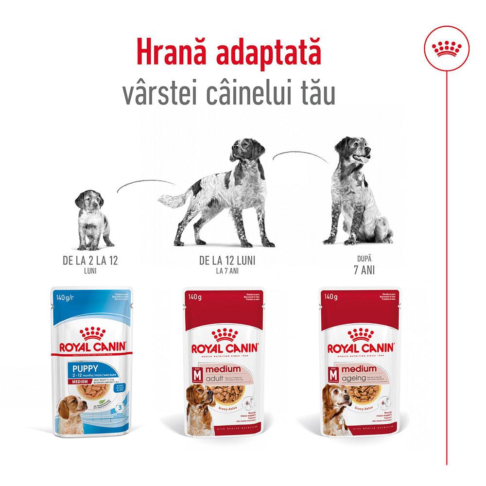 Royal Canin Medium Adult hrana umeda caine (in sos), 140 g