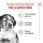 Black and white puppy image with Romanian text about strong immune system, brain development, and microbiome support