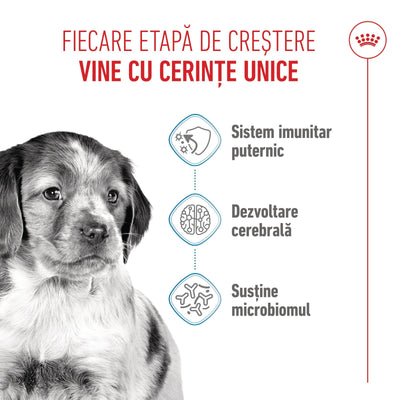 Royal Canin Medium Puppy hrana uscata caine junior