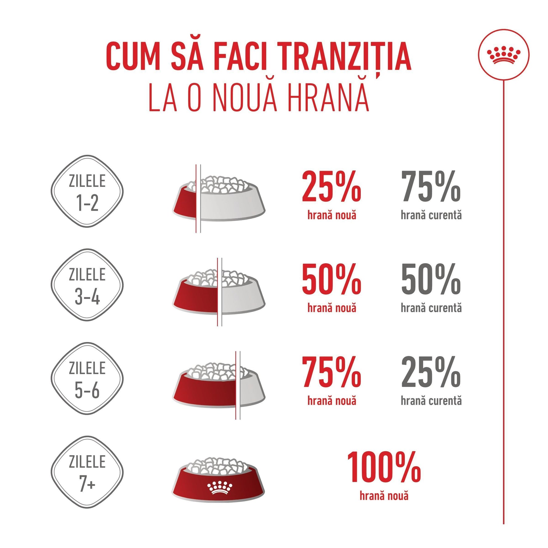 Romanian guide infographic for transitioning pets to new food with percentage ratios over 7+ days