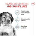 Royal Canin Medium Puppy hrana umeda caine junior (in sos), 140 g
