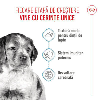 Royal Canin Medium Puppy hrana umeda caine junior (in sos), 140 g