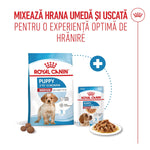Royal Canin Medium Puppy hrana umeda caine junior (in sos), 140 g