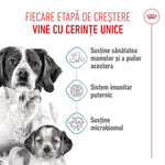 Royal Canin Medium Starter Mother & BabyDog, mama si puiul, hrana uscata caini