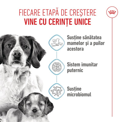 Royal Canin Medium Starter Mother & BabyDog, mama si puiul, hrana uscata caini