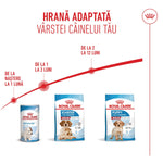 Royal Canin Medium Starter Mother & BabyDog, mama si puiul, hrana uscata caini