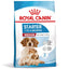 Royal Canin Medium Starter Mother & BabyDog, mama si puiul, hrana uscata caini