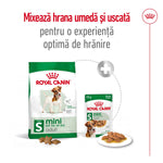 Royal Canin Mini Adult hrana uscata caine