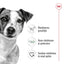 Royal Canin Mini Adult hrana umeda caine (in sos), 85 g