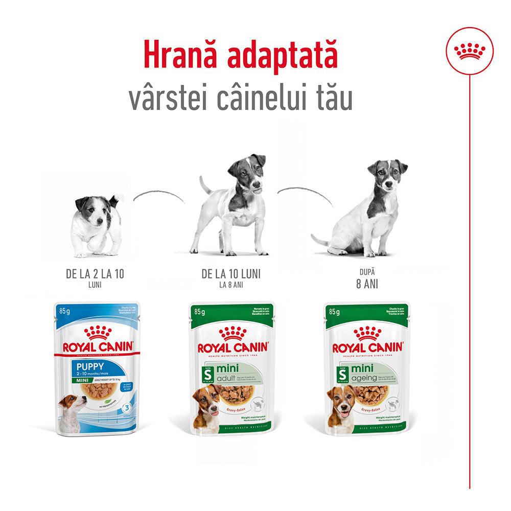 Royal Canin Mini Adult hrana umeda caine (in sos), 85 g