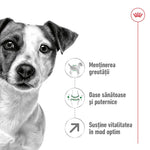 Royal Canin Mini Adult 8+ hrana uscata caine