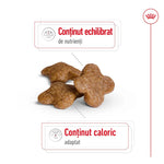 Royal Canin Mini Adult 8+ hrana uscata caine