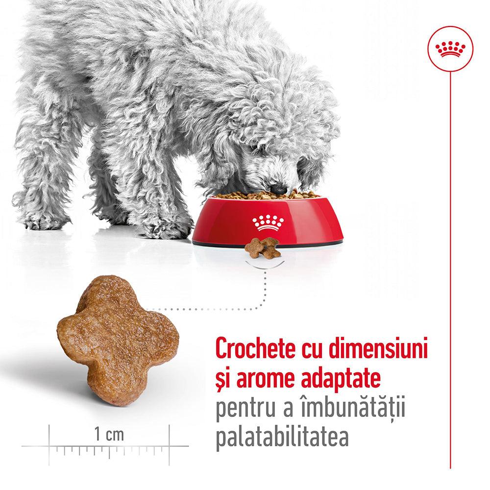 Royal Canin Mini Adult 8+ hrana uscata caine