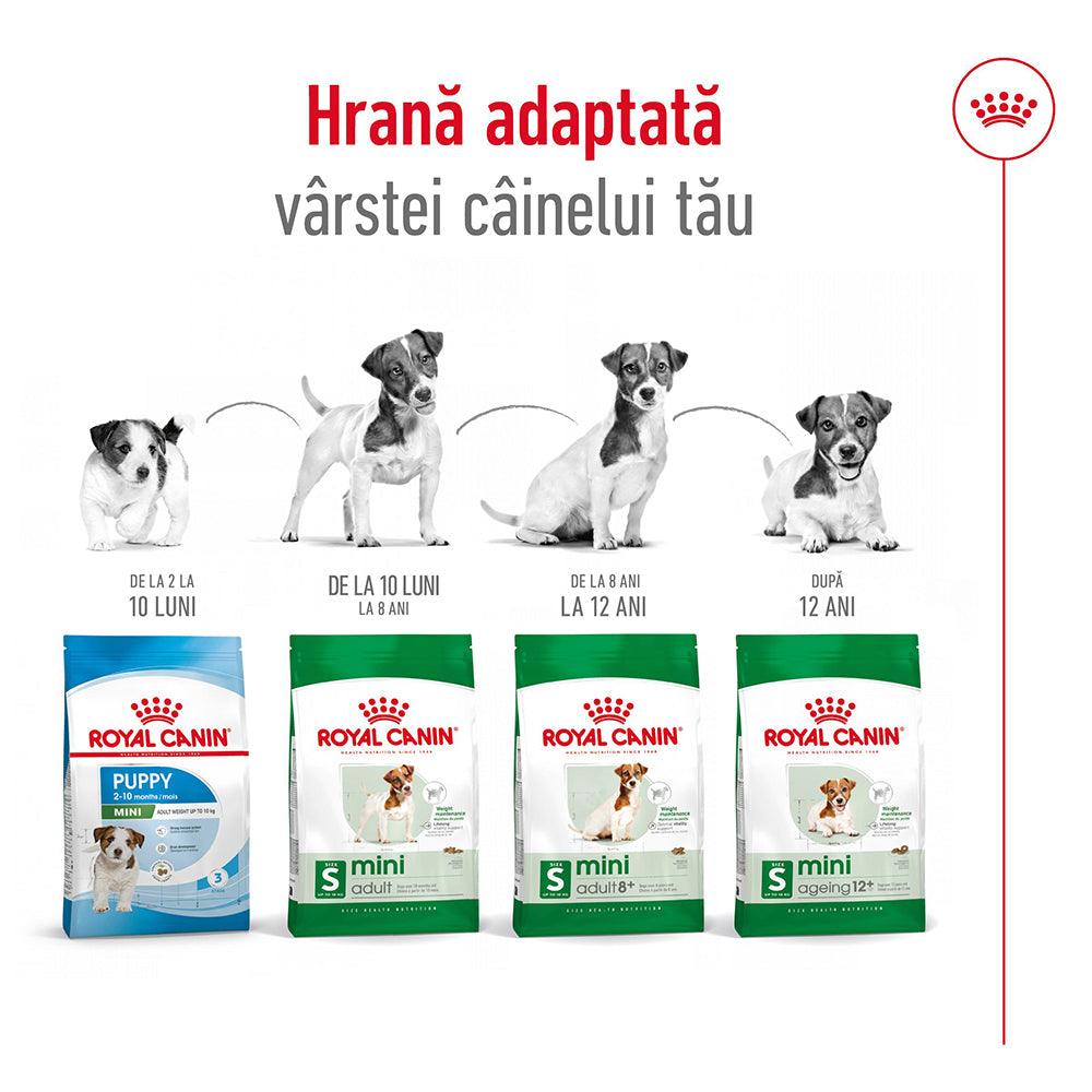 Royal Canin Mini Adult 8+ hrana uscata caine