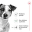 Royal Canin Mini Ageing 12+  hrana umeda caine senior (in sos), 85 g