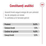 Royal Canin Mini Ageing 12+  hrana umeda caine senior (in sos), 85 g