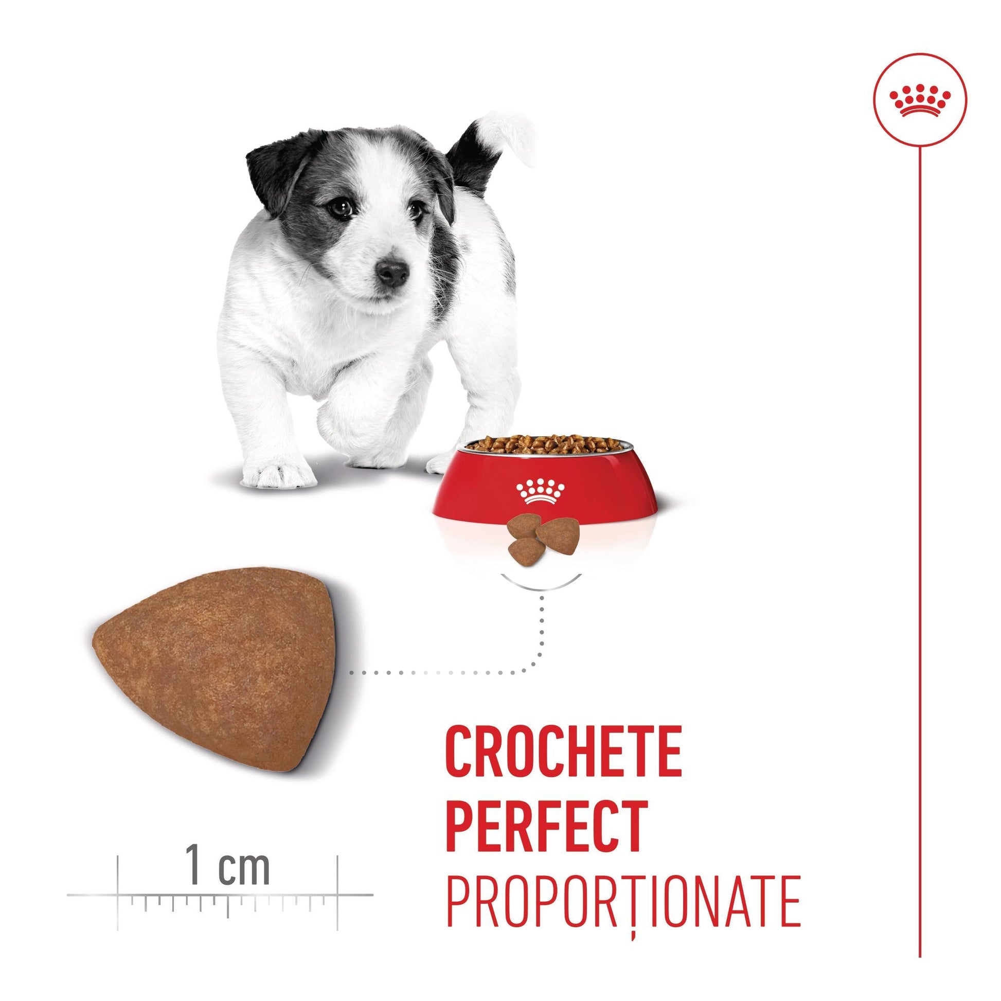 Royal Canin Mini Puppy hrana uscata caine junior