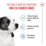 Royal Canin Mini Puppy hrana umeda caine junior (in sos), 85 g