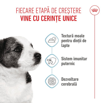 Royal Canin Mini Puppy hrana umeda caine junior (in sos), 85 g
