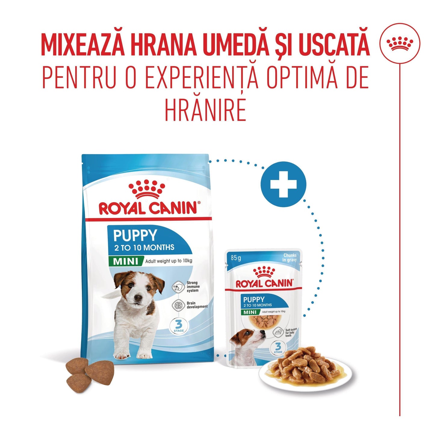 Royal Canin Mini Puppy hrana umeda caine junior (in sos), 85 g