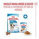 Royal Canin Mini Puppy hrana umeda caine junior (in sos), 85 g
