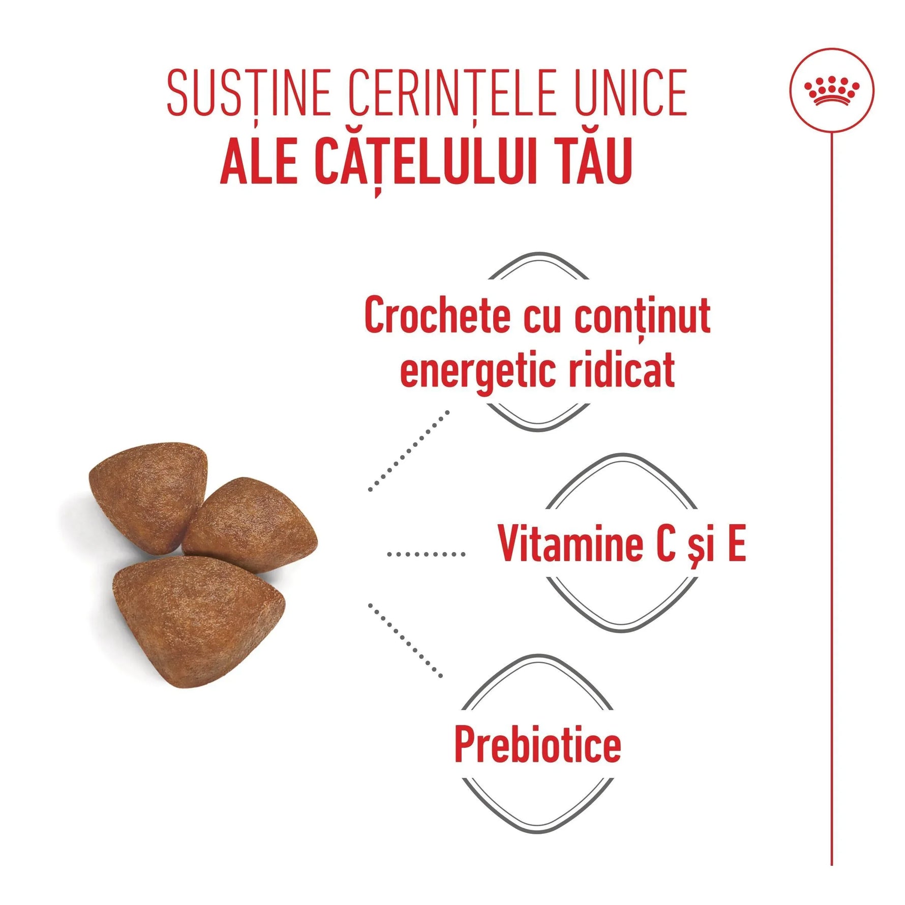 Three brown dry kibble pellets with Romanian text highlighting high energy content, vitamins C and E, and prebiotics